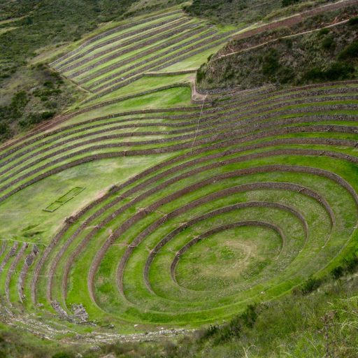 Moray 2