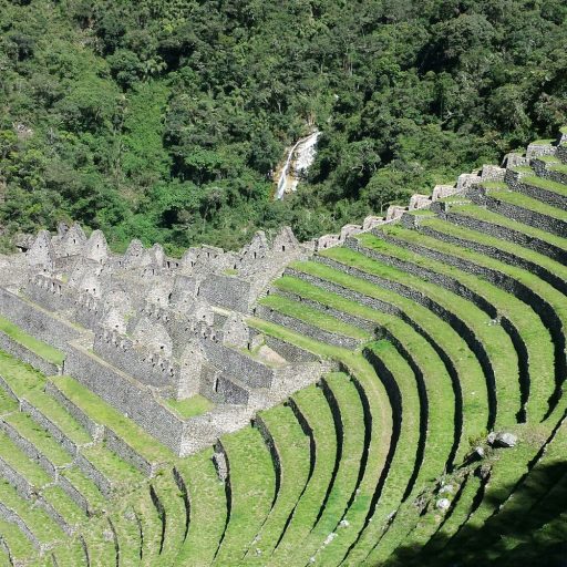 Wiñay